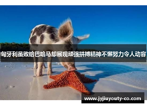 匈牙利虽败给巴哈马却展现顽强拼搏精神不懈努力令人动容