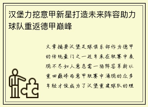 汉堡力挖意甲新星打造未来阵容助力球队重返德甲巅峰