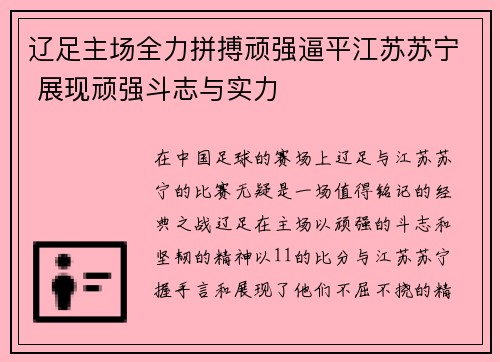 辽足主场全力拼搏顽强逼平江苏苏宁 展现顽强斗志与实力