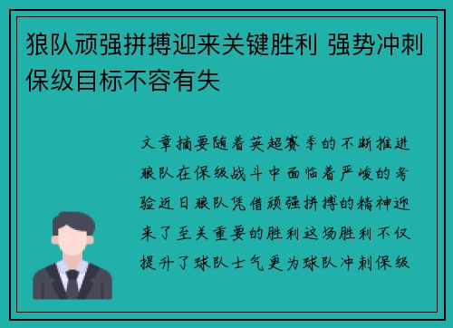 狼队顽强拼搏迎来关键胜利 强势冲刺保级目标不容有失