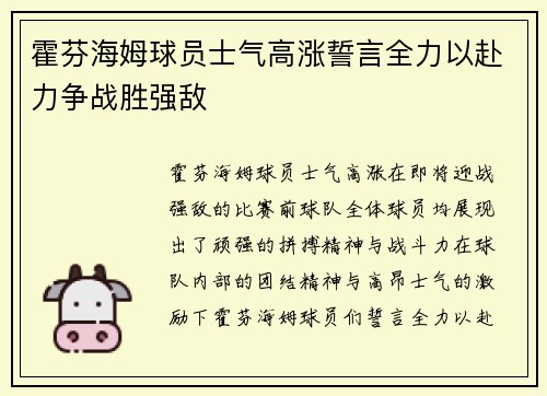 霍芬海姆球员士气高涨誓言全力以赴力争战胜强敌